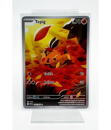 Regular Fit Card Sleeves 66x91mm | EPICCARD