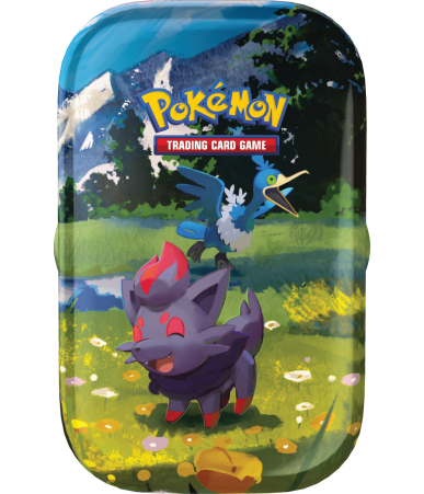 Pokemon TCG: Mega Evolution - Ascended Heroes - Mini Tin - Zorua/Cramorant